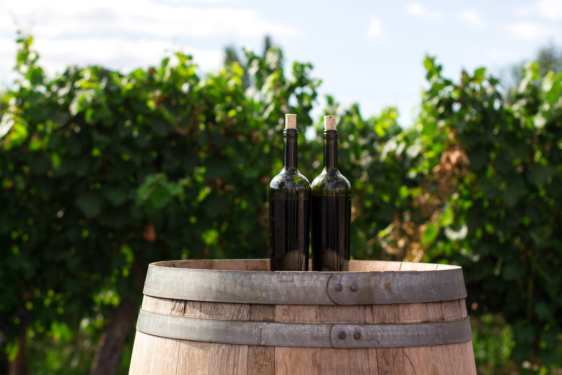 Wine bottles on a wood barrel