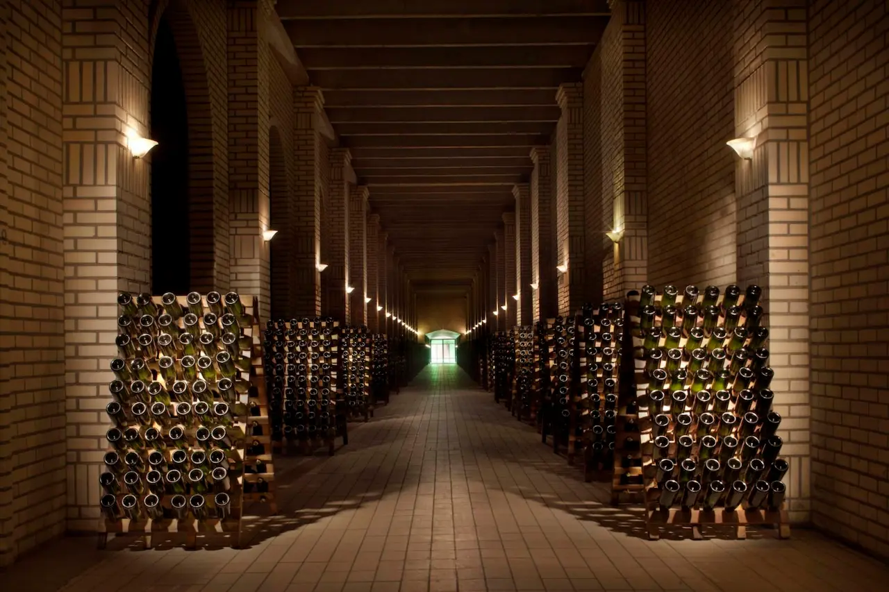 Brasil Selection contest thumbnail